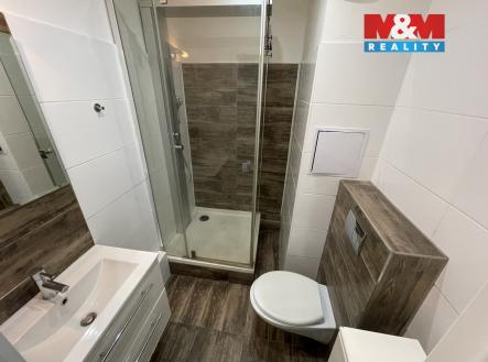 IMG_6626.jpeg | Pronájem bytu, 1+kk, 28 m²