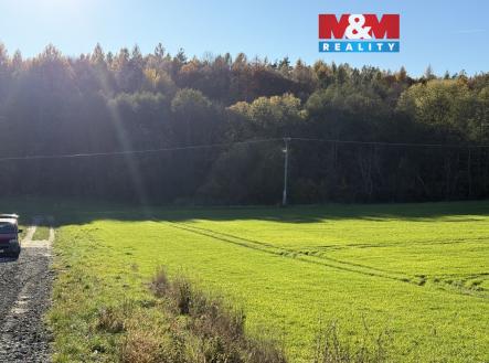 image_A1D65C7A-78AE-45FC-BFBD-DB9FBA096084_1763646275.jpeg | Prodej - pozemek, les, 1 901 m²