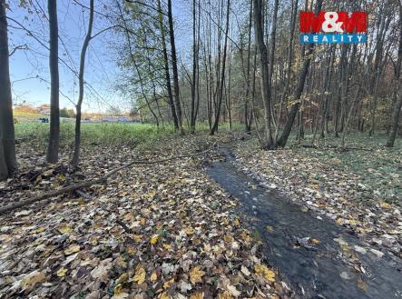 image_6CEB97F9-6970-4B5C-8243-326D6580DD9B_1763646275.jpeg | Prodej - pozemek, les, 1 901 m²