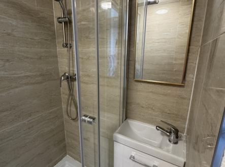 IMG_9452.jpeg | Pronájem bytu, 1+kk, 32 m²