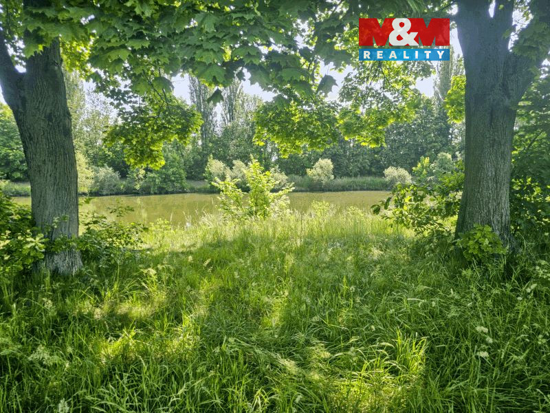 20250604_112003 (1).jpg