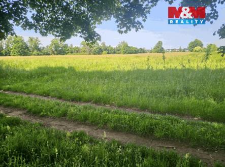 20250604_112118 (1).jpg | Prodej - pozemek, trvalý travní porost, 816 m²