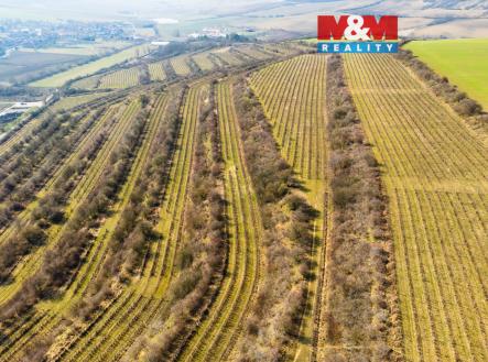 5.jpg | Prodej - pozemek, zemědělská půda, 2 424 m²