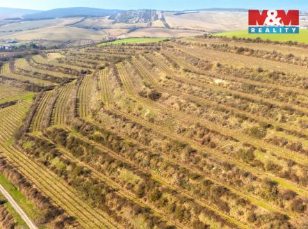 3.jpg | Prodej - pozemek, zemědělská půda, 2 424 m²