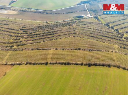 10.jpg | Prodej - pozemek, zemědělská půda, 2 424 m²