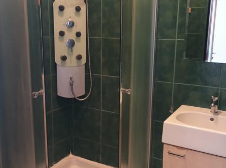 viber_image_2026-04-07_14-34-52-562.jpg | Pronájem bytu, 3+kk, 55 m²