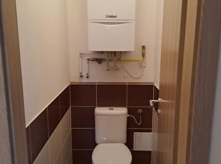 20240129_163818_resized.jpg | Pronájem bytu, 2+kk, 61 m²