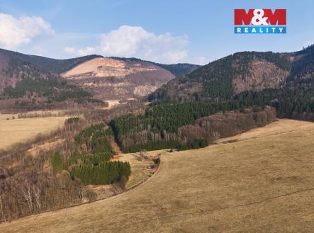 Pozemek | Prodej - pozemek, les, 16 741 m²