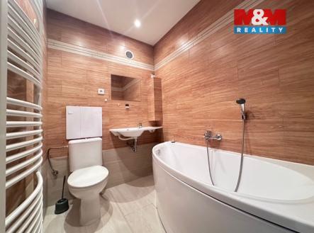 IMG_9685.jpeg | Pronájem bytu, 1+kk, 26 m²