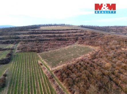 vinice2_upravena.jpg | Prodej - pozemek, zemědělská půda, 9 215 m²
