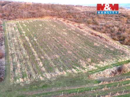 vinice5_upravena.jpg | Prodej - pozemek, zemědělská půda, 9 215 m²