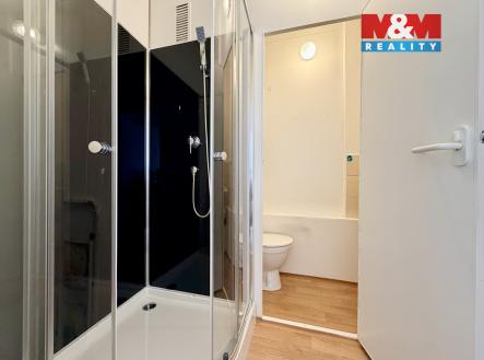 IMG_3082.jpeg | Pronájem bytu, 1+1, 35 m²