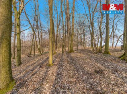 DSC02960 kopie.jpg | Prodej - pozemek, les, 6 169 m²