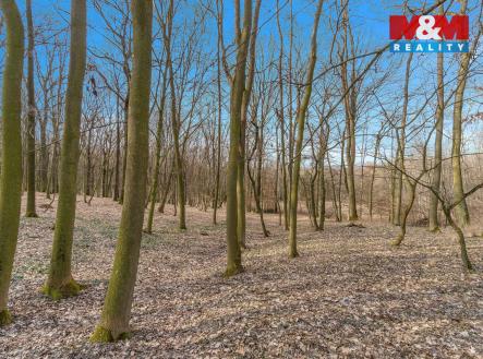 DSC02965 kopie.jpg | Prodej - pozemek, les, 6 169 m²