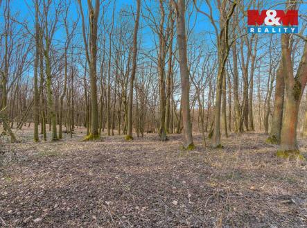 DSC02954 kopie.jpg | Prodej - pozemek, les, 6 169 m²