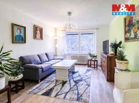 20d49031-c89e-4bdb-b95c-6b3f56235c9d.jpg | Pronájem bytu, 2+1, 55 m²