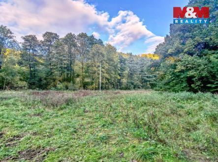 IMG_20231016_171125.jpg | Prodej - pozemek, trvalý travní porost, 2 421 m²