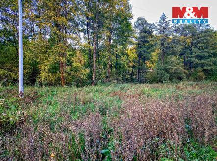 IMG_20231016_165954.jpg | Prodej - pozemek, trvalý travní porost, 2 421 m²