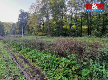 IMG_20231016_165909.jpg | Prodej - pozemek, trvalý travní porost, 2 421 m²