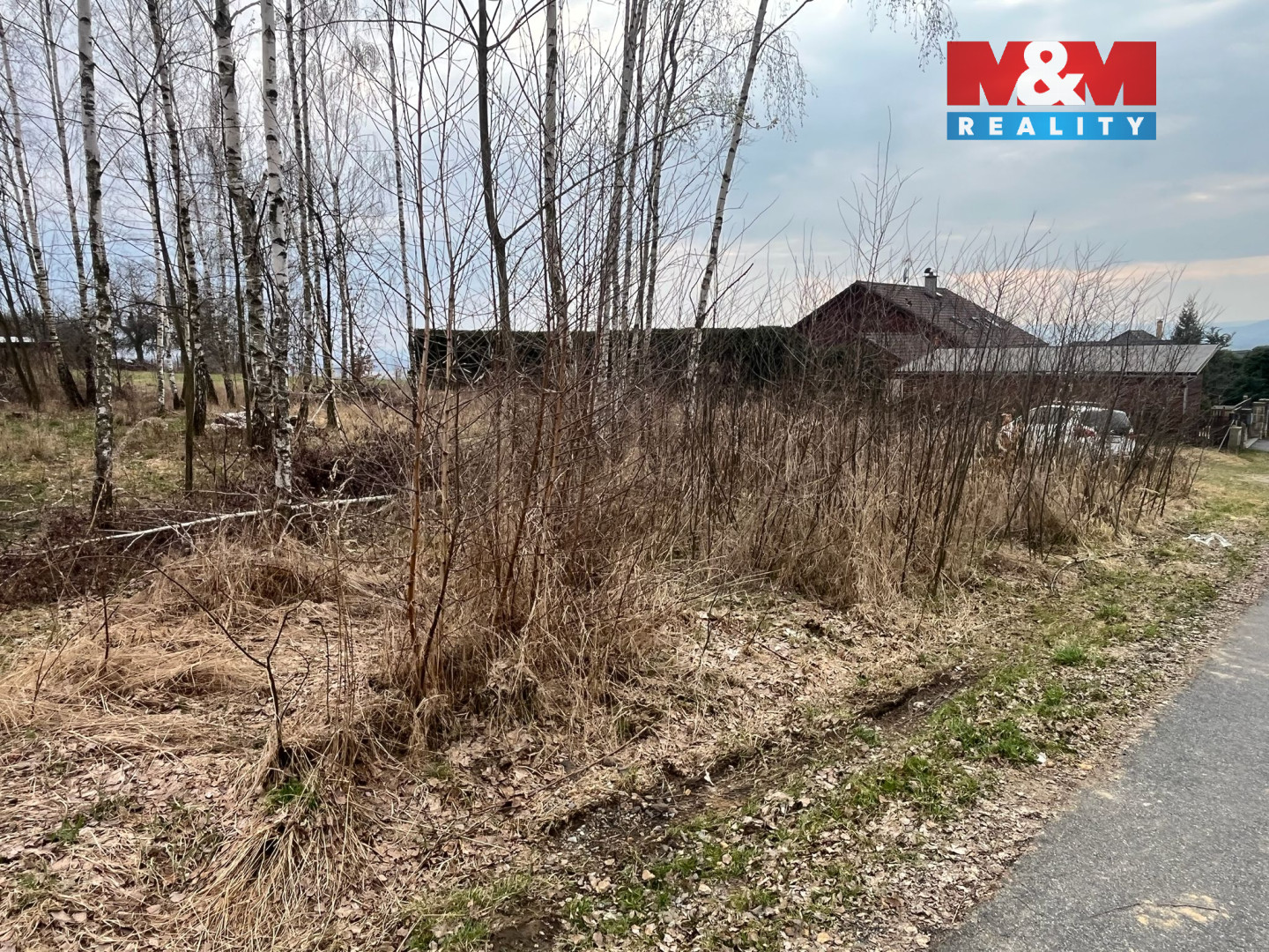 WhatsApp Image 2026-03-23 at 16.33.53.jpeg