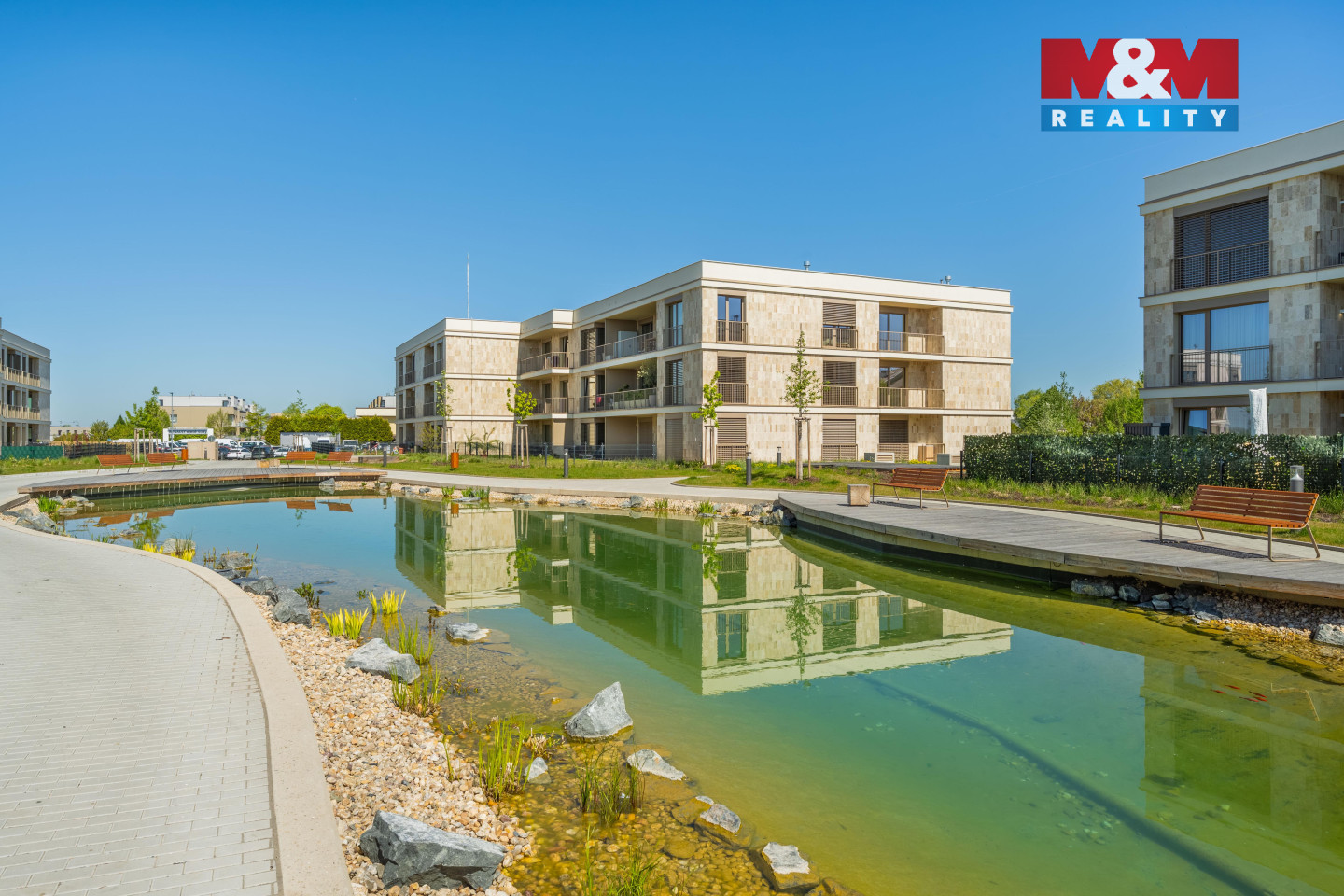 DSC_2498.jpg