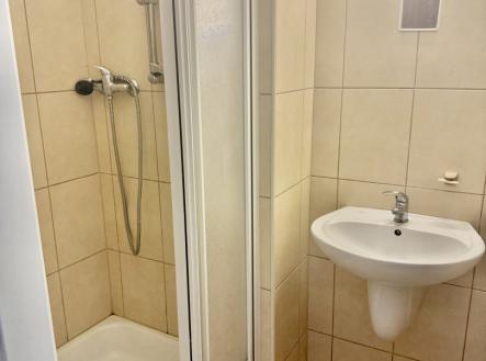 IMG_3819.jpeg | Pronájem bytu, 2+1, 54 m²