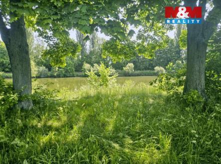 20250604_112003 (2).jpg | Prodej - pozemek, trvalý travní porost, 7 544 m²