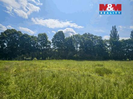 20250604_111908 (2).jpg | Prodej - pozemek, trvalý travní porost, 7 544 m²