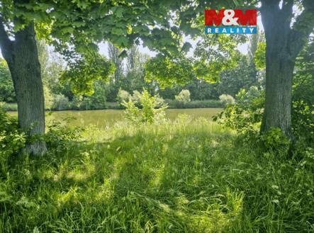 20250604_112003 (1).jpg | Prodej - pozemek, trvalý travní porost, 1 000 m²