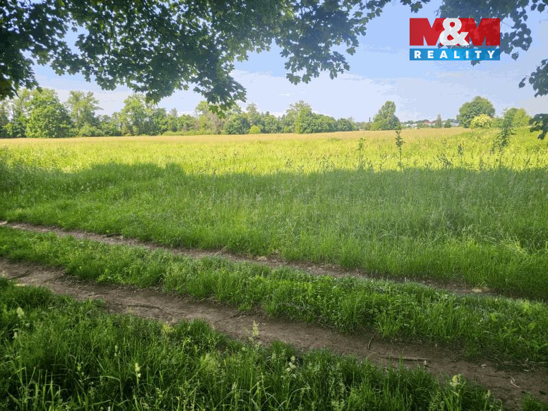 20250604_112118 (1).jpg