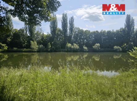 20250604_112105.jpg | Prodej - pozemek, trvalý travní porost, 1 000 m²