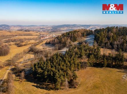 les2.jpg | Prodej - pozemek, les, 7 155 m²