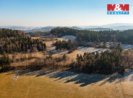 les3.jpg | Prodej - pozemek, les, 7 155 m²