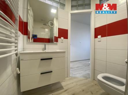 bfd8bcb8-3a49-495e-bde3-e8a66c1a6973.jpg | Pronájem bytu, 1+1, 35 m²