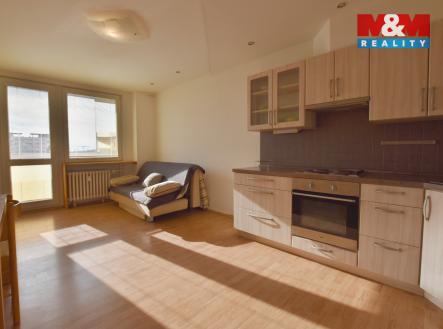 DSC_0537.jpg | Pronájem bytu, 1+kk, 35 m²