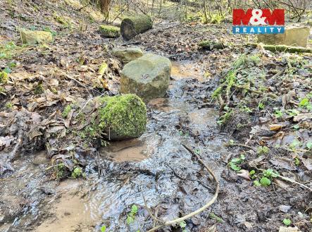 IMG_6142.jpeg | Prodej - pozemek, les, 4 113 m²