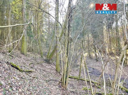 IMG_6141.jpeg | Prodej - pozemek, les, 4 113 m²