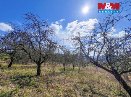 IMG_7520.jpeg | Prodej - pozemek, zemědělská půda, 5 140 m²