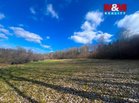 IMG_7376.jpeg | Prodej - pozemek, trvalý travní porost, 8 056 m²