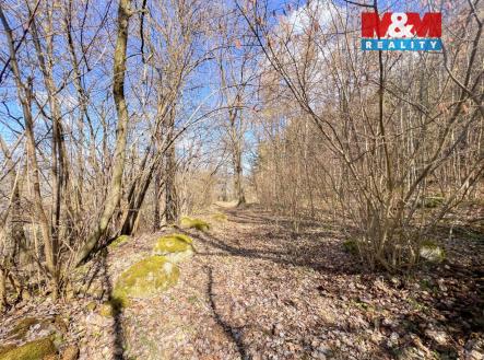 IMG_7526.jpeg | Prodej - pozemek, trvalý travní porost, 8 056 m²