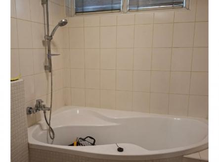 koupelna 01.jpeg | Pronájem bytu, 1+1, 36 m²