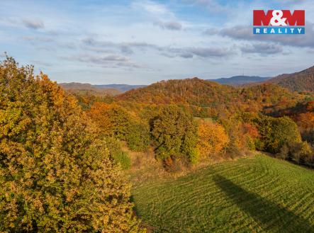 Pozemek Sva╠üdov_1038_6_1.jpg | Prodej - pozemek, trvalý travní porost, 14 398 m²