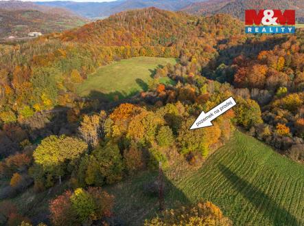 Pozemek Sva╠üdov_1038_6_3.jpg | Prodej - pozemek, trvalý travní porost, 14 398 m²