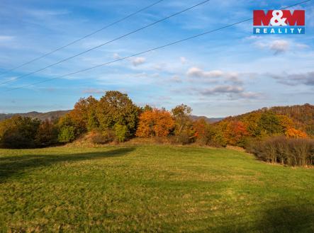 Pozemek Sva╠üdov_1038_6_4.jpg | Prodej - pozemek, trvalý travní porost, 14 398 m²