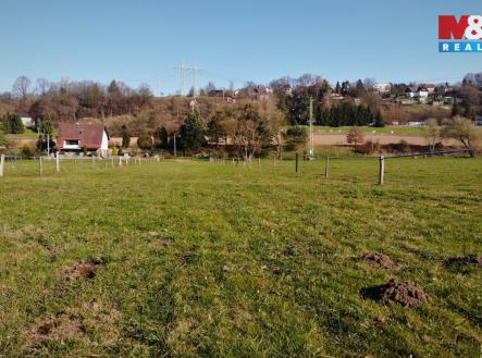 Dolanky2.jpg | Prodej - pozemek, trvalý travní porost, 2 128 m²