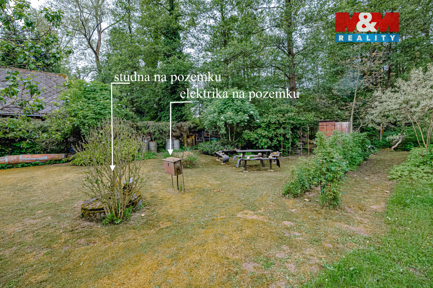 DSC_8308 (kopie).jpg