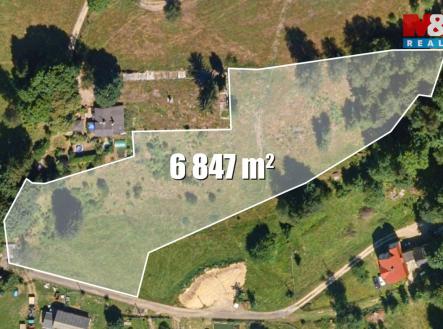Pozemek | Prodej - pozemek, trvalý travní porost, 6 847 m²