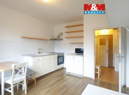 Odebrat_květiny_a_202603291526.jpg | Pronájem bytu, 1+1, 35 m²