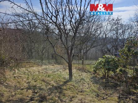 20260320_101212.jpg | Prodej - pozemek, zahrada, 401 m²