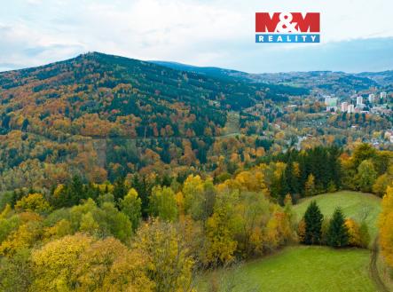 1.jpg | Prodej - pozemek, trvalý travní porost, 1 589 m²